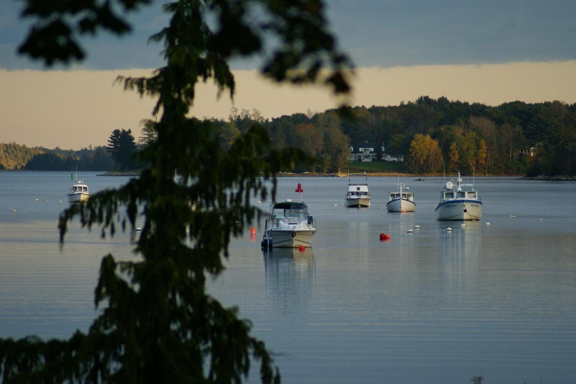Fisherman'S Daughter B&B Mahone Bay Εξωτερικό φωτογραφία